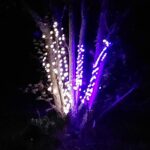 33FT Color-Changing Rope Lights with Remote photo review