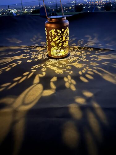 Twinkle Hummingbird Solar Lantern photo review