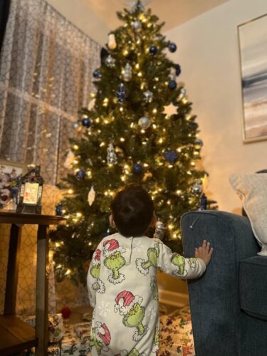 Lighted Snow Globe Lantern with Swirling Glitter photo review