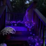 33FT Color-Changing Rope Lights with Remote photo review