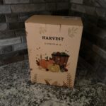 Lighted Blue Snowman Lantern with Music & Swirling Glitter photo review