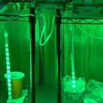 LED Multicolor Meteor Shower Christmas Lights photo review