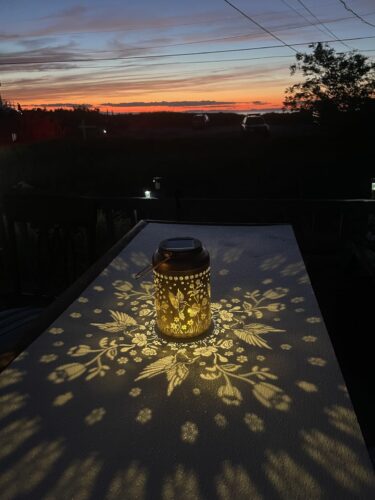Twinkle Hummingbird Solar Lantern photo review