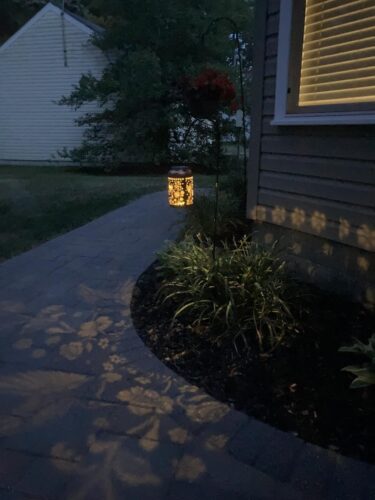 Twinkle Hummingbird Solar Lantern photo review