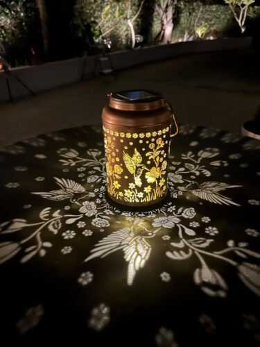 Twinkle Hummingbird Solar Lantern photo review