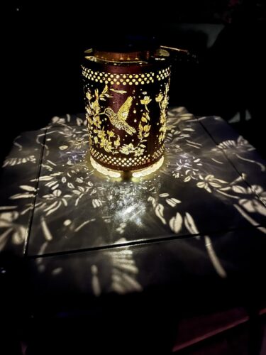 Twinkle Hummingbird Solar Lantern photo review