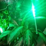 LED Multicolor Meteor Shower Christmas Lights photo review