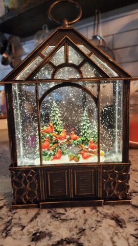 Auto Snowfall Glitter Globe Lantern photo review