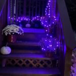 33FT Color-Changing Rope Lights with Remote photo review