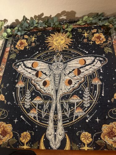 6FT LED Twinkling Tree Fairy Light Olive Vine   photo review