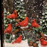 Auto Snowfall Glitter Globe Lantern photo review