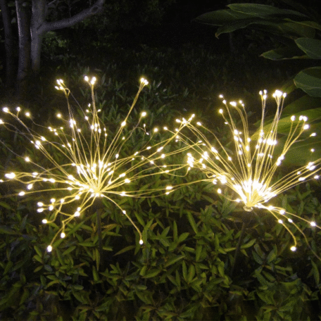 Red and White - 2025-10-16T070237.033 Red and White - 2025-10-16T070237.033