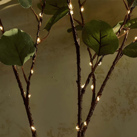 Red and White (49) Red and White (49)