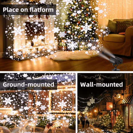 Red and White (77) Red and White (77)